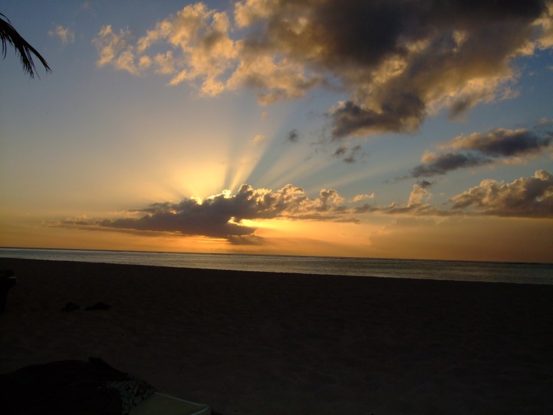 Mauritius 2010 - 0176 